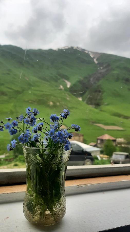 Guesthouse SVANURI SAKHLI Ushguli Extérieur photo